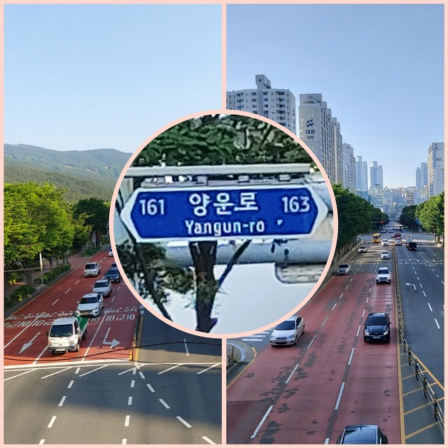 양운로 사진 모음